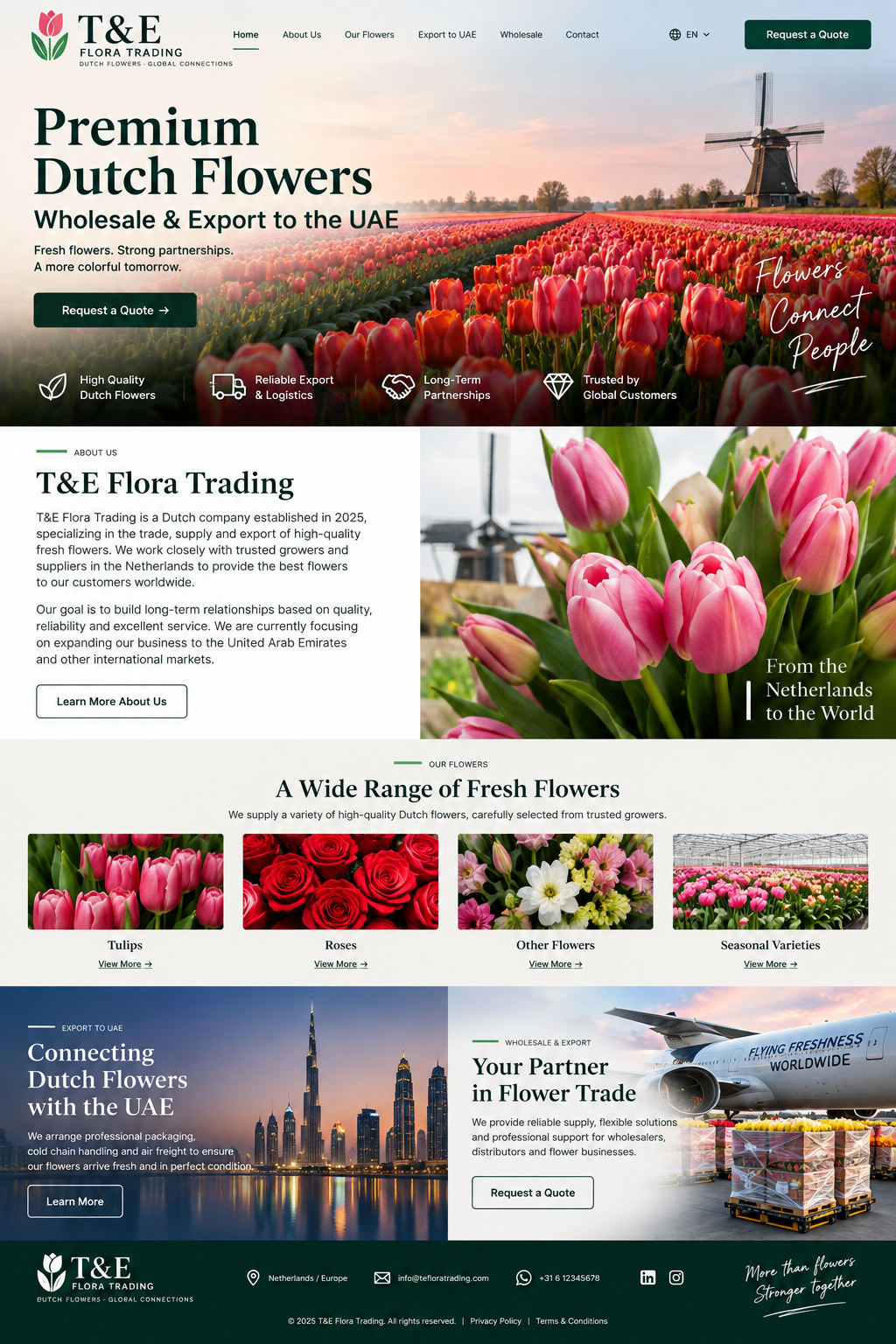 Dutch tulip field